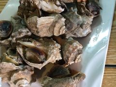 前海沿儿-鲁前海沿儿