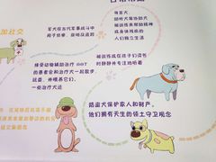 -瑞派申生动物医院·24H夜诊·国际动物医疗中心·骨外科(吴中路店)