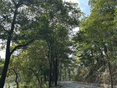 -红花湖景区