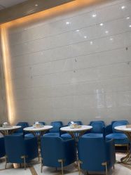 -碧莲盛·不剃发植发