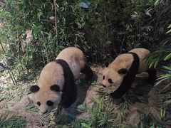 -武汉园博园(武汉自然博物馆)