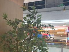 -四道菜·福建菜馆(莆田万达店)