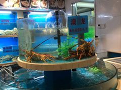 水产区-虾佬圣汤