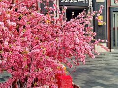 -蛙蛙叫干锅年代(簋街总店)