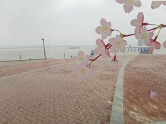 -游心咖啡(青山滨江店)