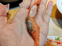 -本家食堂(华南店)