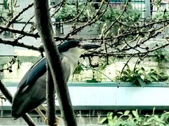 -新南门(地铁站)