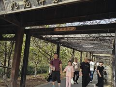 -九龙潭景区