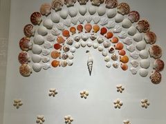 -青岛贝壳博物馆