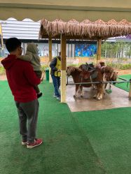 -萌宠亲子动物乐园(槐房万达店)