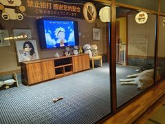 -大江户·温泉洗浴(浑南店)