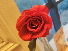 -妈妈菜舟山海鲜(定海古城店)