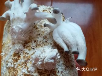 能长大的少的可怜，为什么和期待的不一样呢