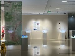 -上海交通大学医学院附属瑞金医院(总院)