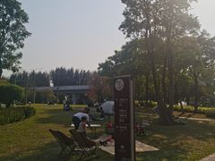 -宝安西湾红树林湿地公园