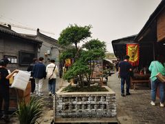 -茯茶镇