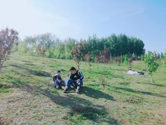 -丁香湖公园