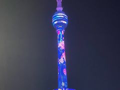 -龟山风景区-龟山电视塔