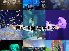 -成都浩海立方海洋公园
