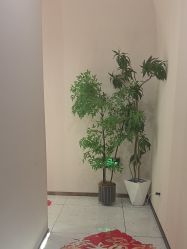 -Lily纤美·科技减脂中心
