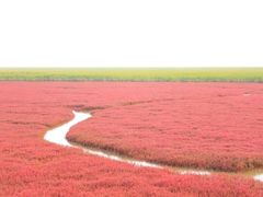 -红海滩国家风景廊道