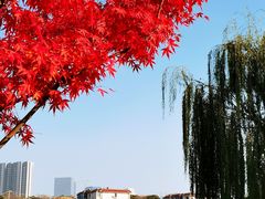 -西海子公园