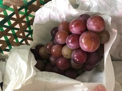 -马陆小张葡萄园农家乐