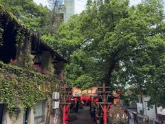 -巴倒烫陆派火锅山庄(南山总店)