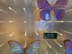 -陕西自然博物馆