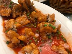 -苏启渔港(云南北路店)