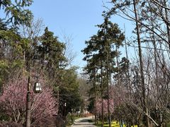 -冶父山国家森林公园