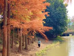 -聚龙山公园