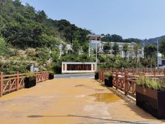 -广州白江湖森林公园