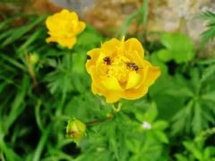 -白草畔自然风景区