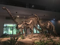 -自贡恐龙博物馆
