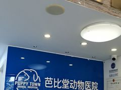 -芭比堂动物医院·心脏科·老年急重症·夜诊·吉雅分院