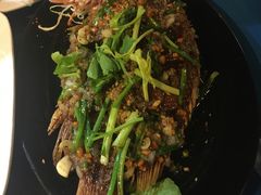 -Onion restaurant