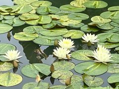 -国家植物园南园