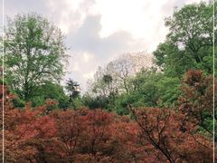 -岳麓山风景名胜区