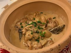 云南羊肚菌奶油炖鸡-夏朵餐厅(丁香店)