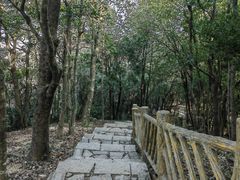 -梧桐山风景名胜区