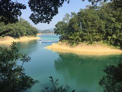 -广州市流溪河国家森林公园