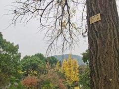 -宝界山林公园