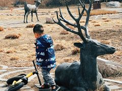 -北京麋鹿生态实验中心