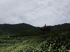 -龙井村