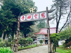 -阿里山神木遗迹