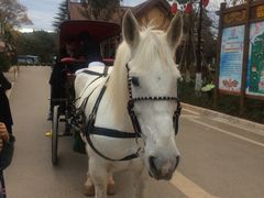 -云南民族大观园