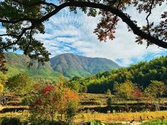 -塔川景区