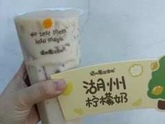 -猫的魔法密林(衣裳街店)