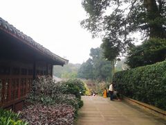 -峨眉山报国寺